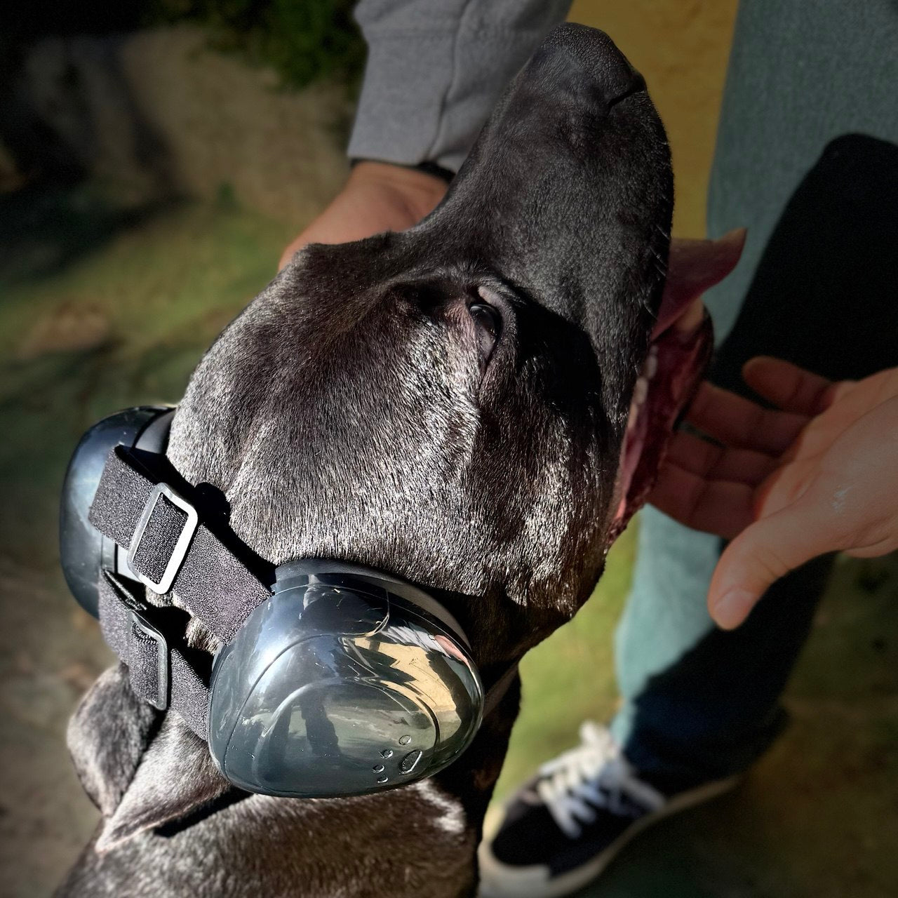 Protector Auditivo para Perros – Cancelación de Ruido y Comodidad Total