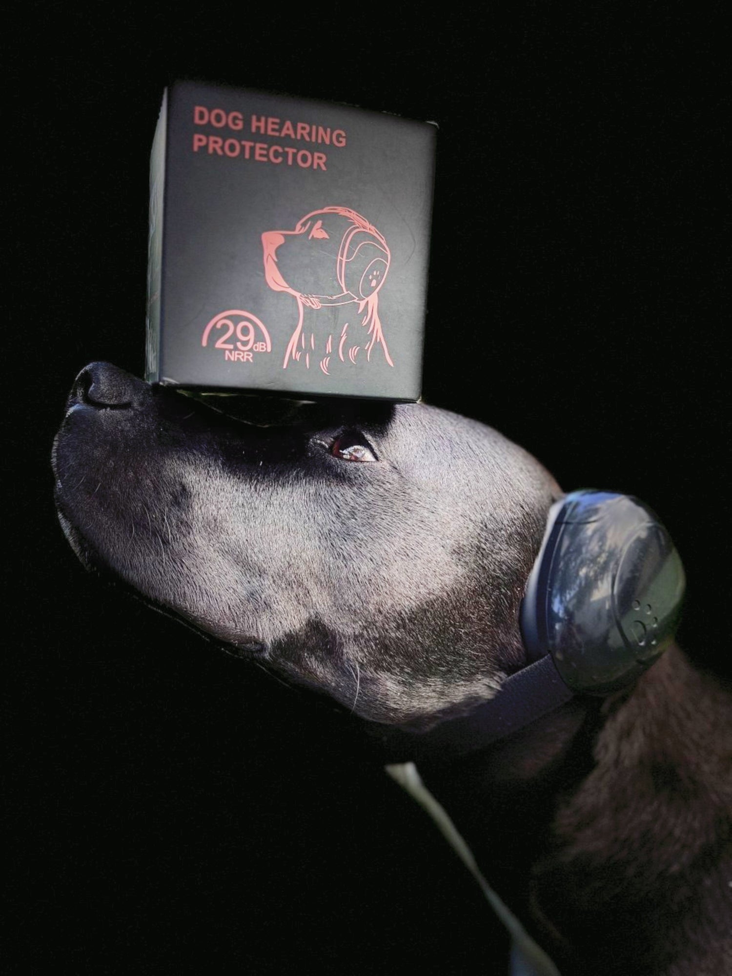 Oferta Premium / Cascos Protección Auditiva + Guía Avanzada + Teleconferencia Individual