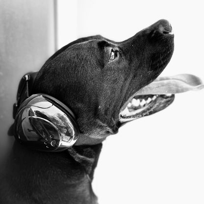 CalmNest - Protector Auditivo para Perros – Cancelación de Ruido y Comodidad Total